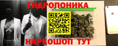 тгк Тара