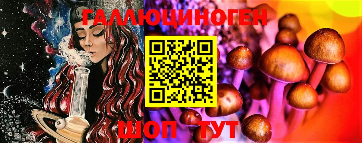 где можно купить   Вход с VPN  Среднеуральск  Псилоцибиновые грибы Psilocybe 